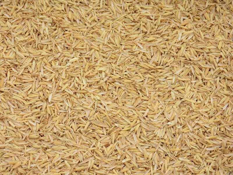 生物質(zhì)燃料燒制輕質(zhì)陶粒的優(yōu)勢分析